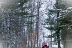 Canton Carriage Winter Ride