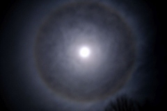 Lunar-Halo-11-29-20