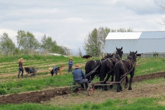 Preparation_for_Planting