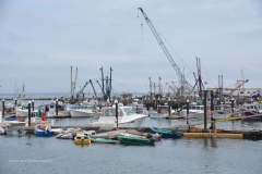 Provincetown_Harbor_2013