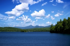 Whiteface from Canaras